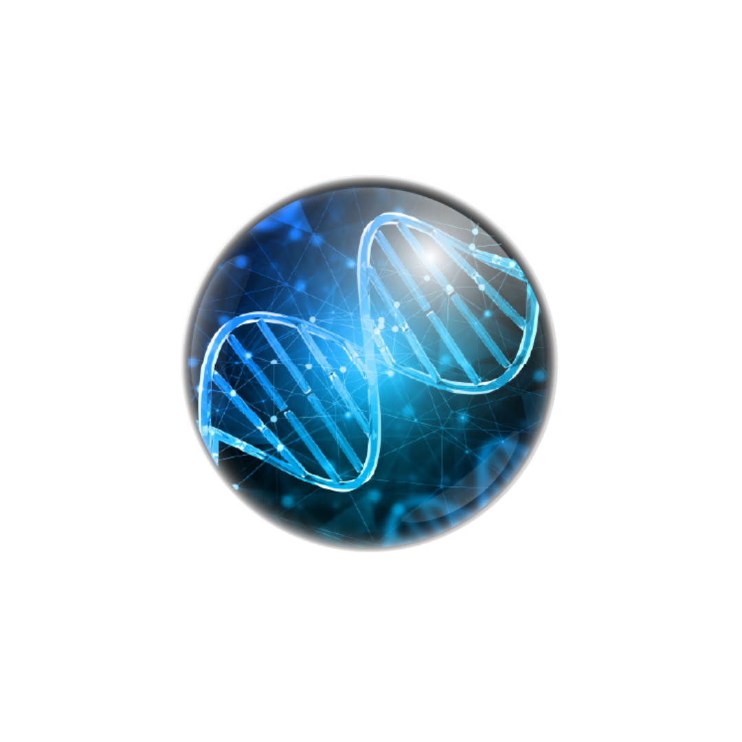 Acid Nucleic